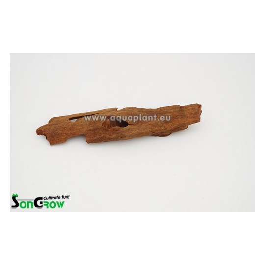 Driftwood Mangrove 12-16 cm