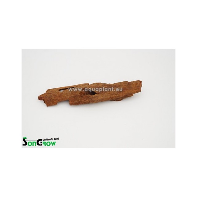 Driftwood Mangrove 12-16 cm