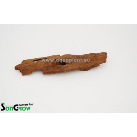 Driftwood Mangrove 12-16 cm
