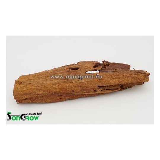 Driftwood Mangrove 15-25 cm