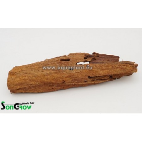 Driftwood Mangrove 15-25 cm
