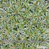 Eusteralis stellata large leaves (Syn: Pogostemon stellatus sp.)